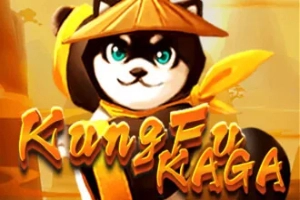 11896 kungfu kaga